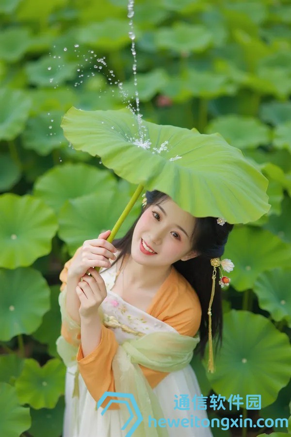 2025年74期金牌謎語澳門