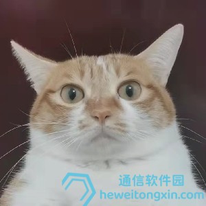 新澳門王中王100%期期中大全盤點(diǎn)：熱門號(hào)碼與章法解析！