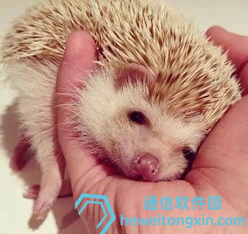 2025年69期新澳門傳真發(fā)布，中獎信息搶先看！