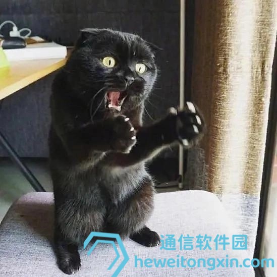 澳彩必中一肖一碼100%:揭秘高效選號思路與風險提示