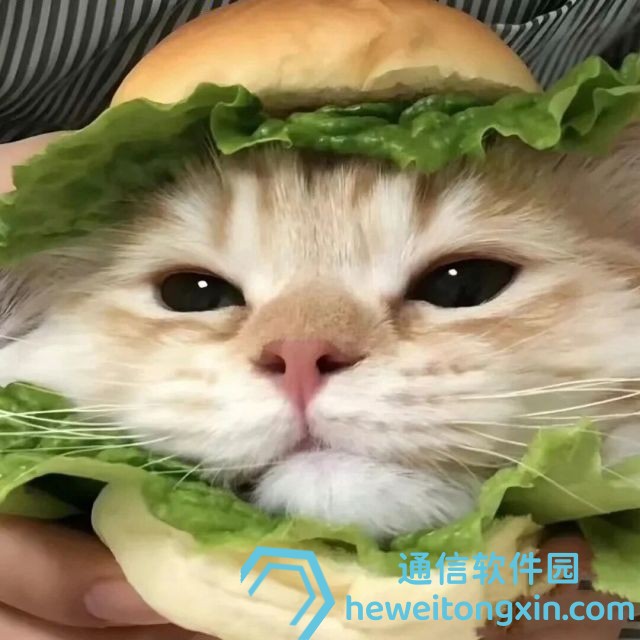 2024年澳門免費1688:不可錯過的免費資料合集,快速掌握最新動向