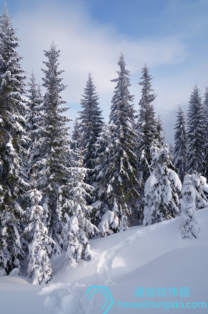 必看神器：澳門精準(zhǔn)六肖期期準(zhǔn)最新版，專家更新策略！