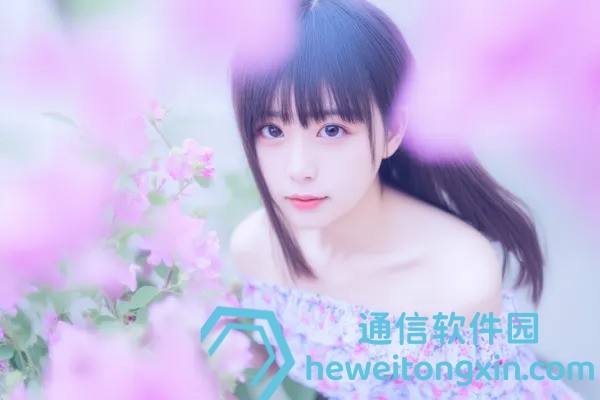 澳門正版資料大全免費(fèi)網(wǎng)站資源整合，安全下載指南