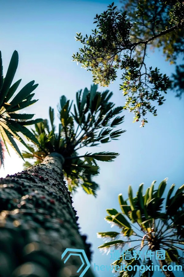 2025年天天開(kāi)好彩結(jié)果搶先看：本期亮點(diǎn)號(hào)碼與走勢(shì)預(yù)測(cè)